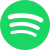 Spotify_logo_100